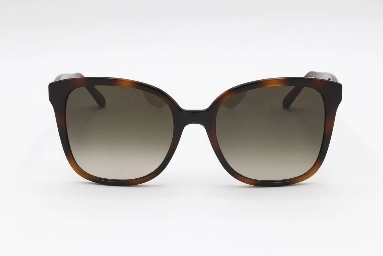 Salvatore Ferragamo SF1072S Sunglasses